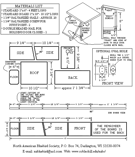 Bluebird Plans